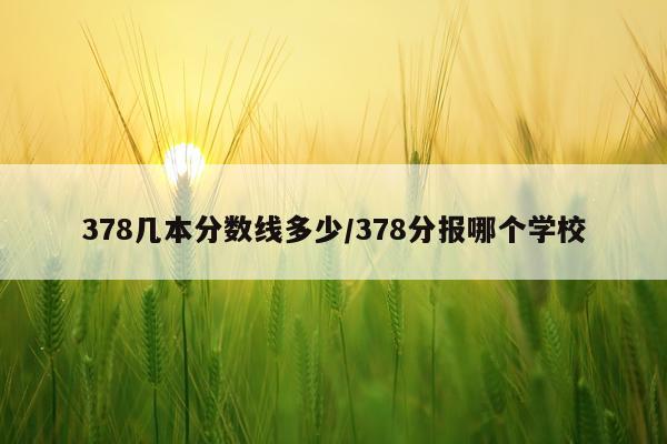 378几本分数线多少/378分报哪个学校