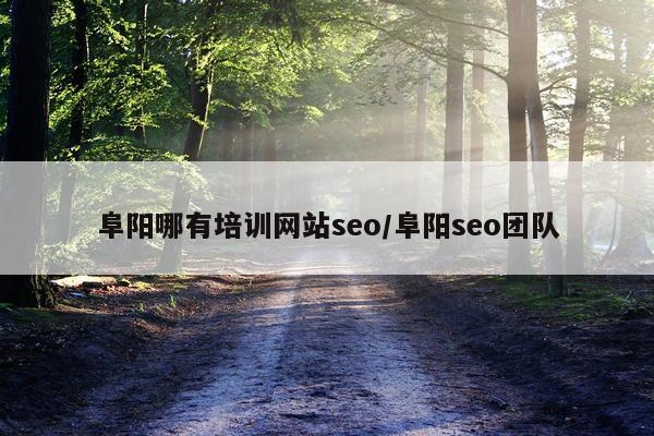 阜阳哪有培训网站seo/阜阳seo团队
