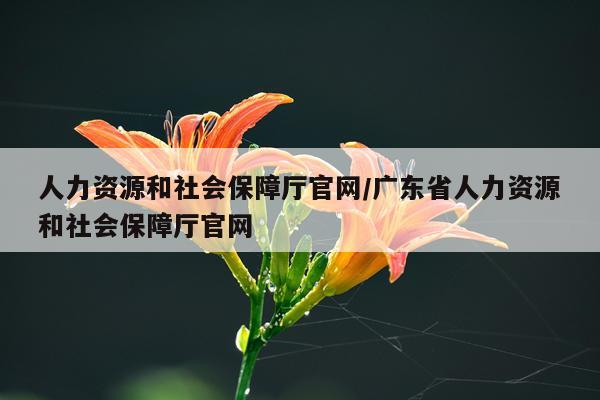 人力资源和社会保障厅官网/广东省人力资源和社会保障厅官网