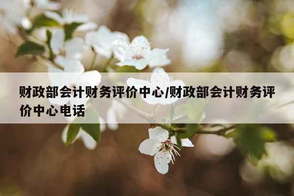 财政部会计财务评价中心/财政部会计财务评价中心电话