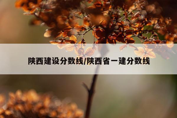 陕西建设分数线/陕西省一建分数线