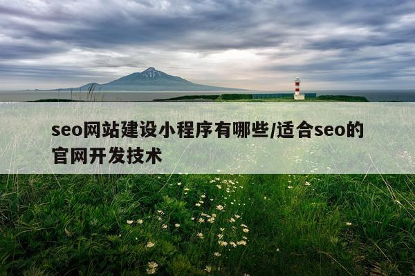 seo网站建设小程序有哪些/适合seo的官网开发技术