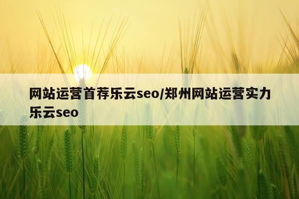 网站运营首荐乐云seo/郑州网站运营实力乐云seo