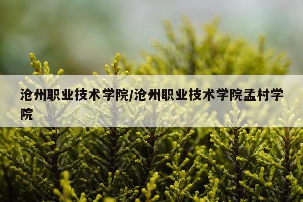 沧州职业技术学院/沧州职业技术学院孟村学院