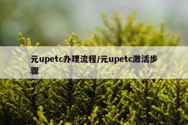 元upetc办理流程/元upetc激活步骤