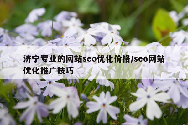 济宁专业的网站seo优化价格/seo网站优化推广技巧