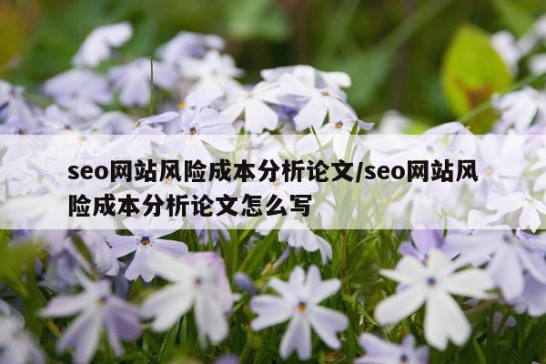 seo网站风险成本分析论文/seo网站风险成本分析论文怎么写