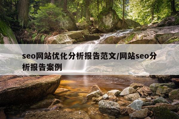 seo网站优化分析报告范文/网站seo分析报告案例