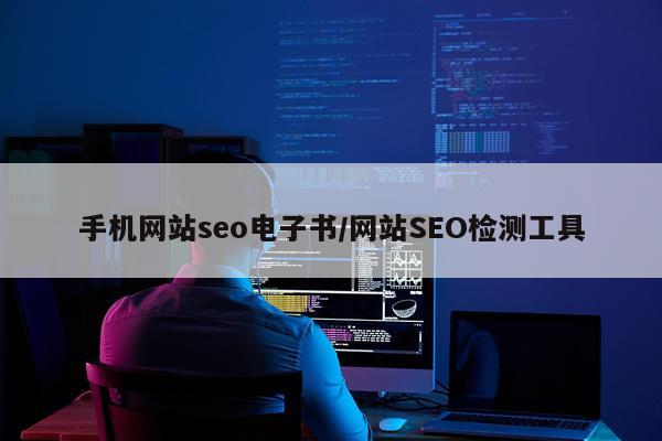手机网站seo电子书/网站SEO检测工具