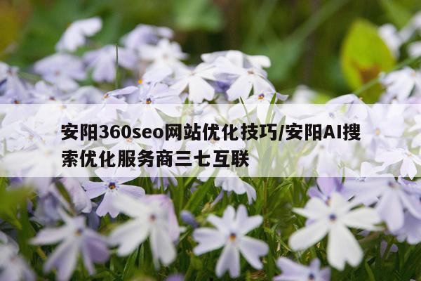 安阳360seo网站优化技巧/安阳AI搜索优化服务商三七互联