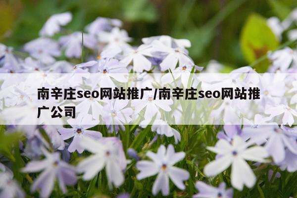 南辛庄seo网站推广/南辛庄seo网站推广公司