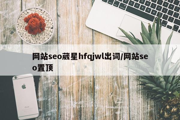 网站seo葳星hfqjwl出词/网站seo置顶