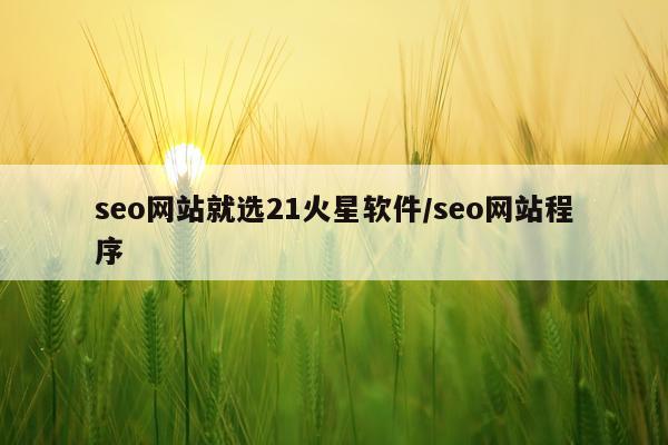 seo网站就选21火星软件/seo网站程序