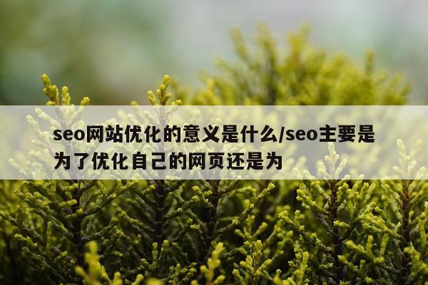 seo网站优化的意义是什么/seo主要是为了优化自己的网页还是为