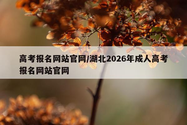 高考报名网站官网/湖北2026年成人高考报名网站官网