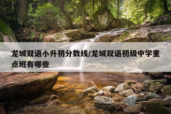 龙城双语小升初分数线/龙城双语初级中学重点班有哪些