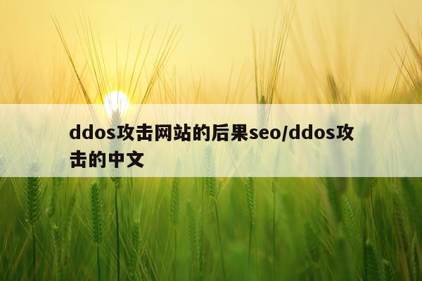 ddos攻击网站的后果seo/ddos攻击的中文