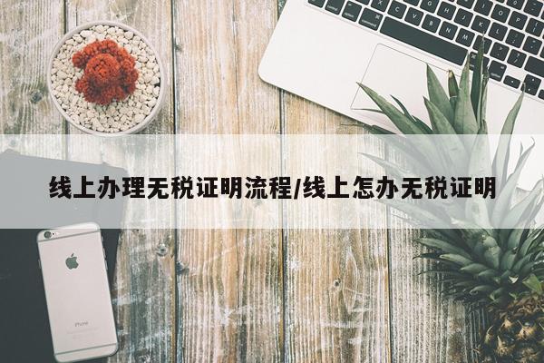 线上办理无税证明流程/线上怎办无税证明