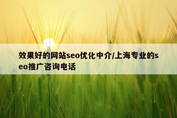 效果好的网站seo优化中介/上海专业的seo推广咨询电话
