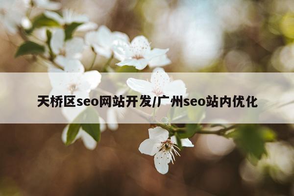 天桥区seo网站开发/广州seo站内优化