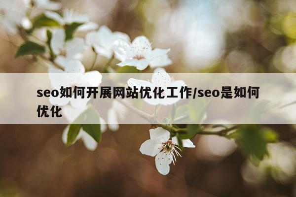 seo如何开展网站优化工作/seo是如何优化