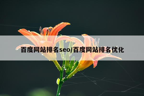 百度网站排名seo/百度网站排名优化