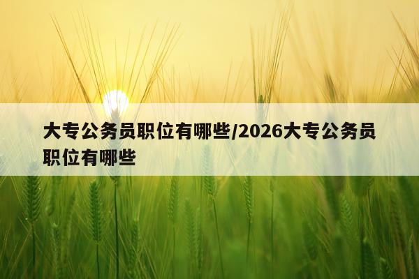 大专公务员职位有哪些/2026大专公务员职位有哪些