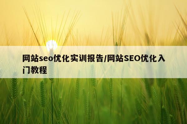 网站seo优化实训报告/网站SEO优化入门教程