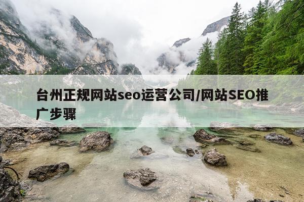 台州正规网站seo运营公司/网站SEO推广步骤