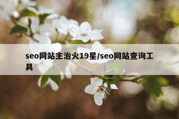 seo网站主治火19星/seo网站查询工具