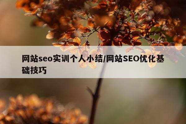 网站seo实训个人小结/网站SEO优化基础技巧