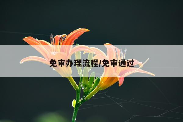 免审办理流程/免审通过