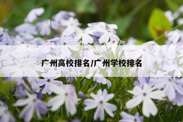 广州高校排名/广州学校排名