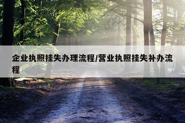 企业执照挂失办理流程/营业执照挂失补办流程