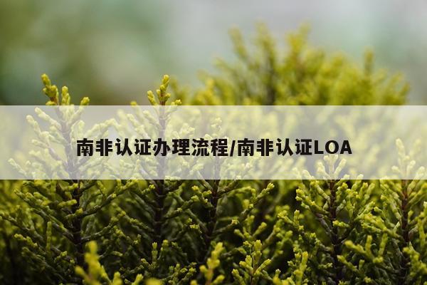 南非认证办理流程/南非认证LOA