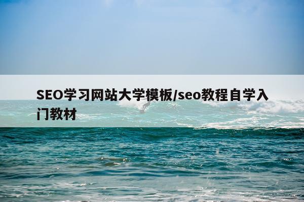 SEO学习网站大学模板/seo教程自学入门教材