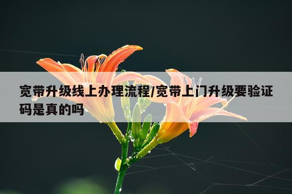 宽带升级线上办理流程/宽带上门升级要验证码是真的吗