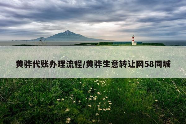 黄骅代账办理流程/黄骅生意转让网58同城