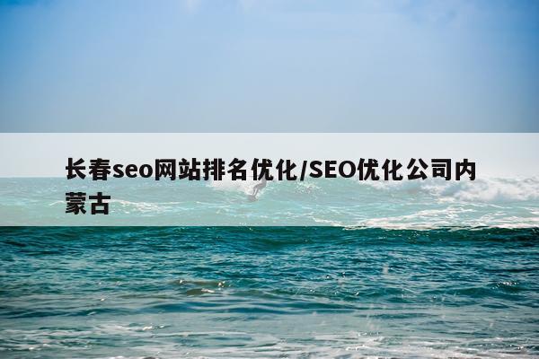 长春seo网站排名优化/SEO优化公司内蒙古