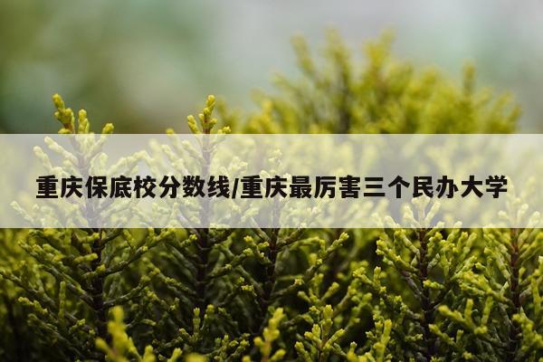 重庆保底校分数线/重庆最厉害三个民办大学