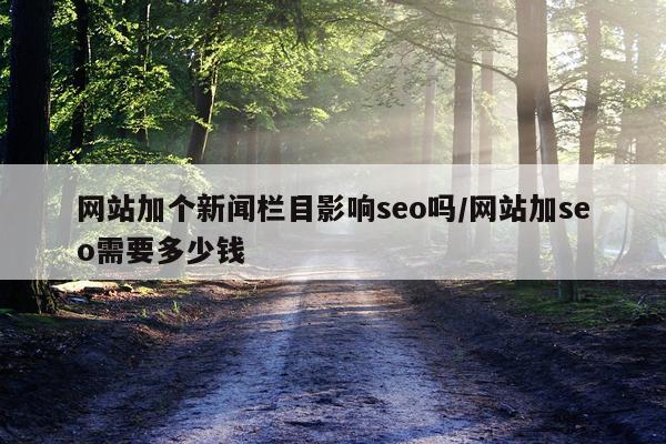 网站加个新闻栏目影响seo吗/网站加seo需要多少钱