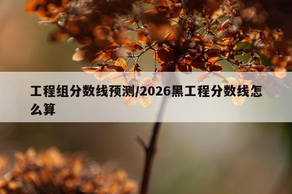 工程组分数线预测/2026黑工程分数线怎么算