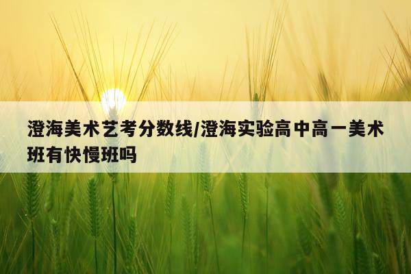 澄海美术艺考分数线/澄海实验高中高一美术班有快慢班吗