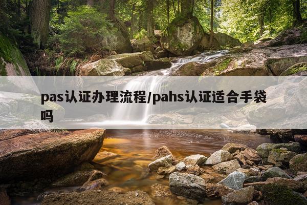 pas认证办理流程/pahs认证适合手袋吗