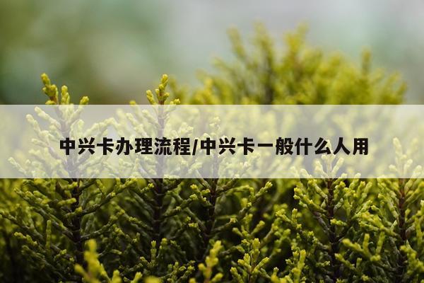中兴卡办理流程/中兴卡一般什么人用