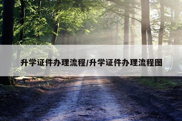 升学证件办理流程/升学证件办理流程图