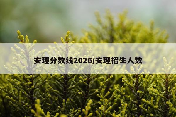 安理分数线2026/安理招生人数
