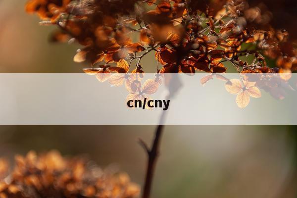 cn/cny