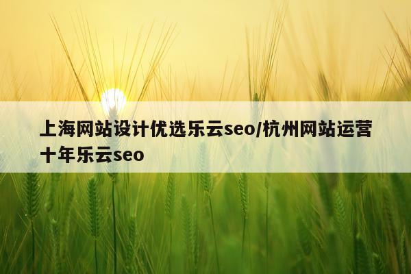 上海网站设计优选乐云seo/杭州网站运营十年乐云seo