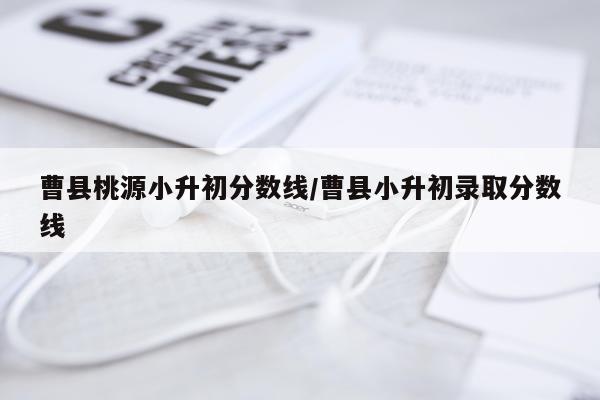 曹县桃源小升初分数线/曹县小升初录取分数线